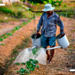 Benefícios Previdenciários que o Trabalhador Rural tem Direito