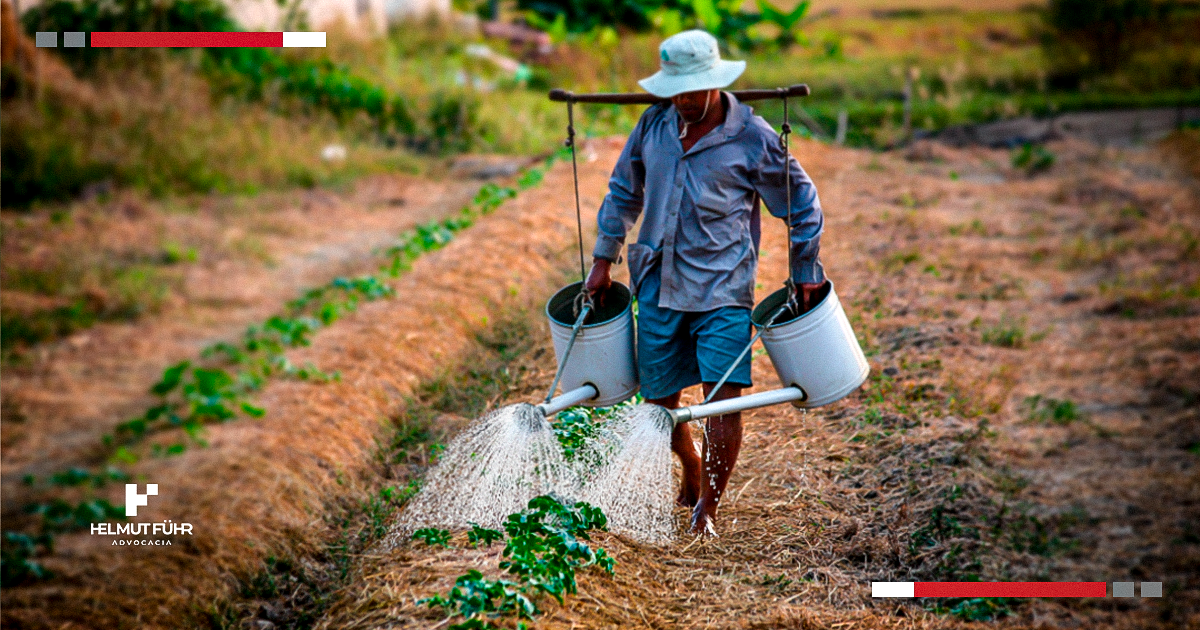 Benefícios Previdenciários que o Trabalhador Rural tem Direito